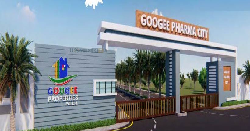 Googee Pharma City-cover-06